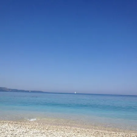 Amarilis Luxury *